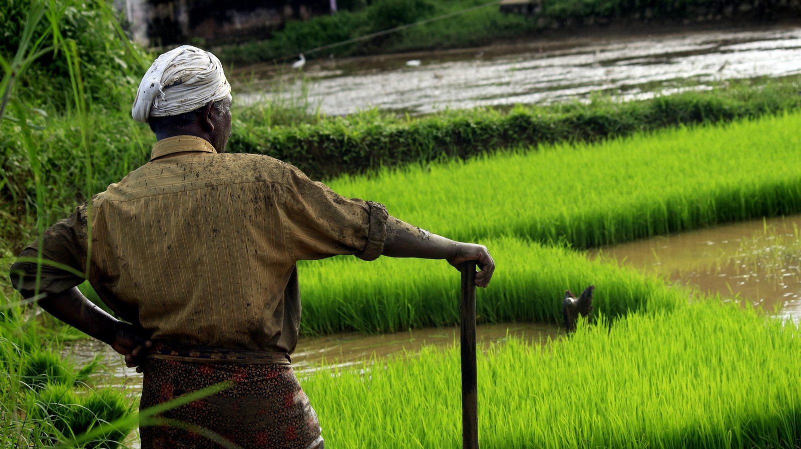 ngo for farmers